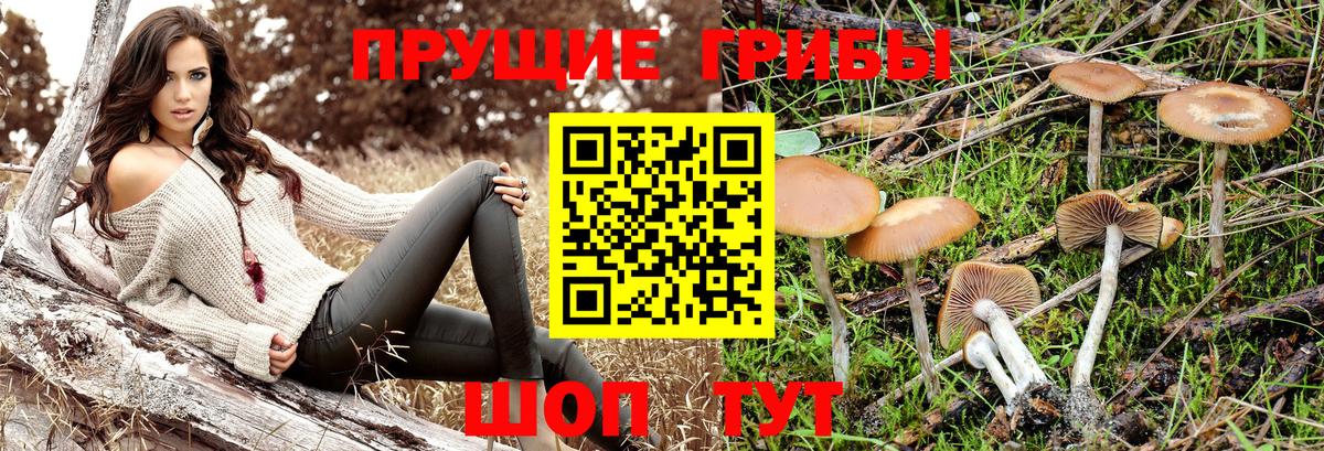 Псилоцибиновые грибы Magic Shrooms  Галлюциногенные грибы мухоморы  Изобильный  Вход с VPN 